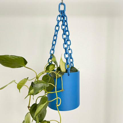 Blue hanging plant holder with a plant on a plain background