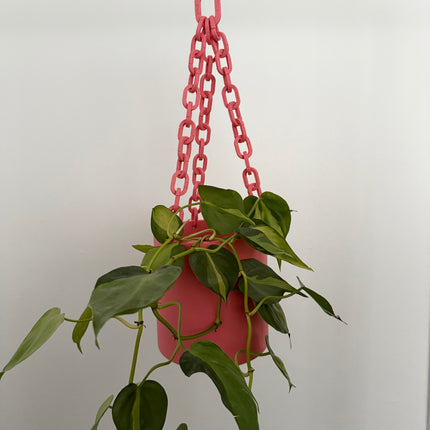 Hanging coral pink planter with green plant against a white background
