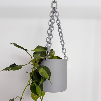 Grey Hanging planter with a chain against a white background
