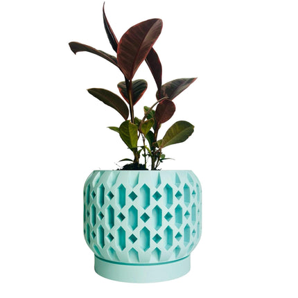 The Brooklyn Table Top Planter With Drip Tray/Table Top Planter/3 Sizes/Home Decor/Large Colour Range