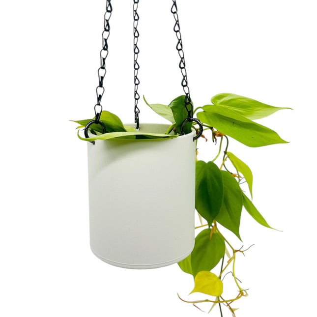 drainage for hanging plants Matte White Hanging Planter, No Drainage, 5 Sizes, 18" Chain – The Inside Jungle