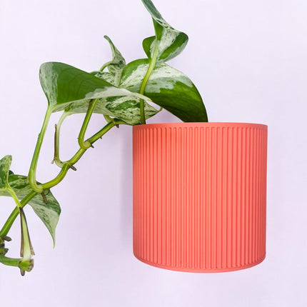 The Brunswick Wall Mounted Pot Planter in Coral / 2 Sizes / Screw Mounted / No Drainage /