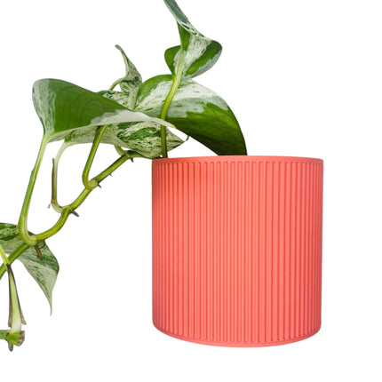 The Brunswick Wall Mounted Pot Planter in Coral / 2 Sizes / Screw Mounted / No Drainage /