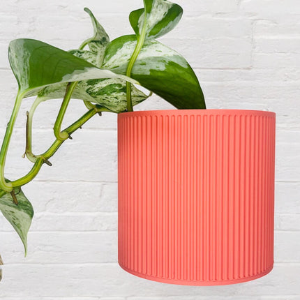 The Brunswick Wall Mounted Pot Planter in Coral / 2 Sizes / Screw Mounted / No Drainage /