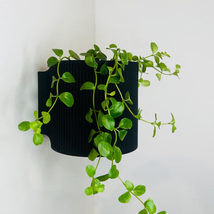 The Brunswick Wall Mounted Pot Planter in Black// With Drainage Holes // Screw Mounted // 2 Sizes
