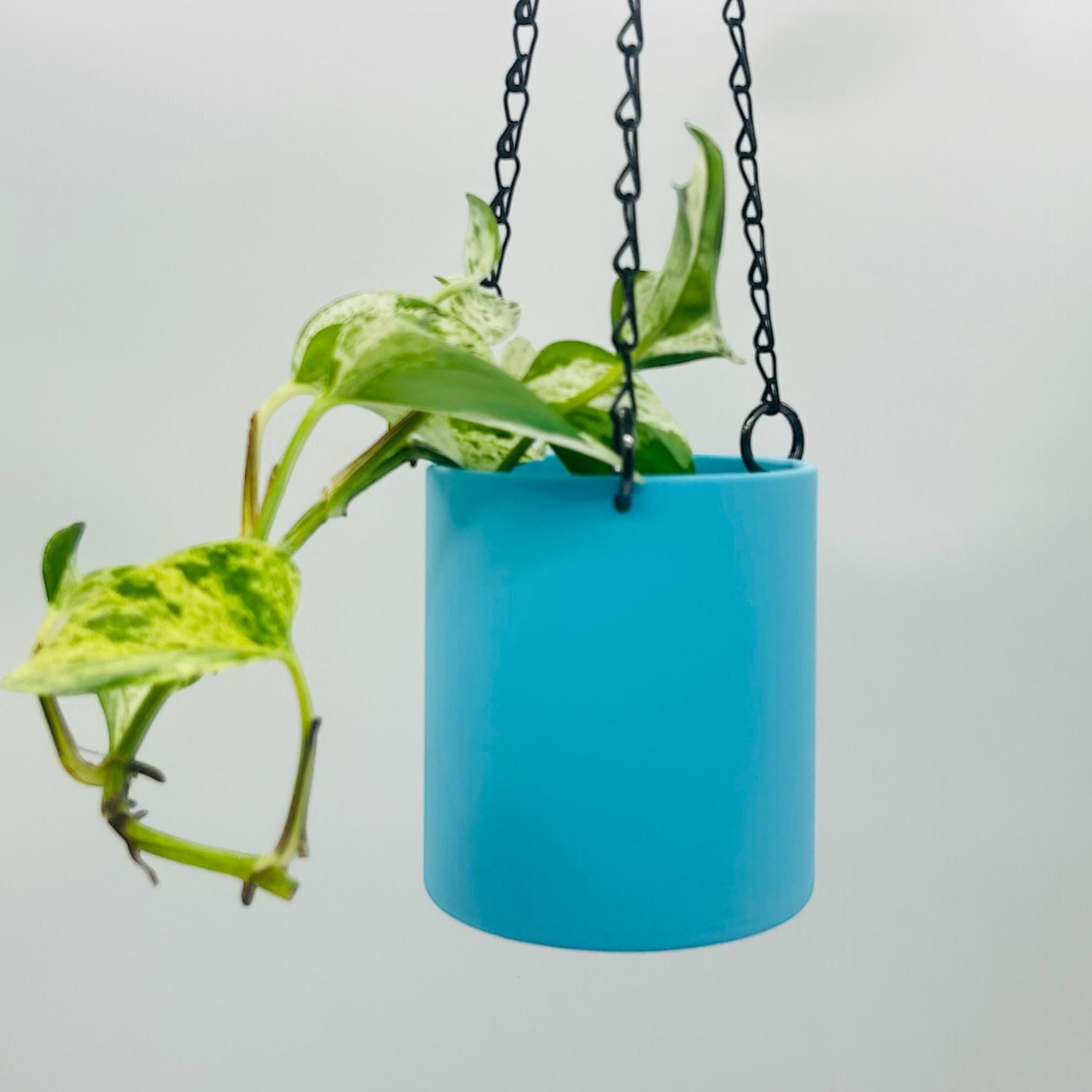 18 hanging planter Matte Turquoise Hanging Planter, No Drainage, 5 Sizes, 18" Chain – The Inside Jungle