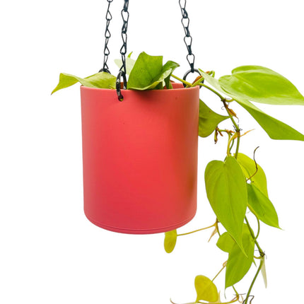 Matte Coral Pink Hanging Planter, Available in 5 Sizes, No Drainage, 18'' Black Chain