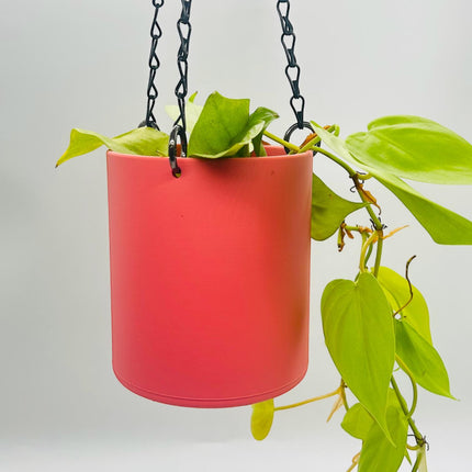 Matte Coral Pink Hanging Planter, Available in 5 Sizes, No Drainage, 18'' Black Chain