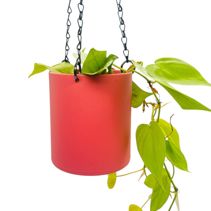 Matte Coral Pink Hanging Planter, Available in 5 Sizes, No Drainage, 18'' Black Chain