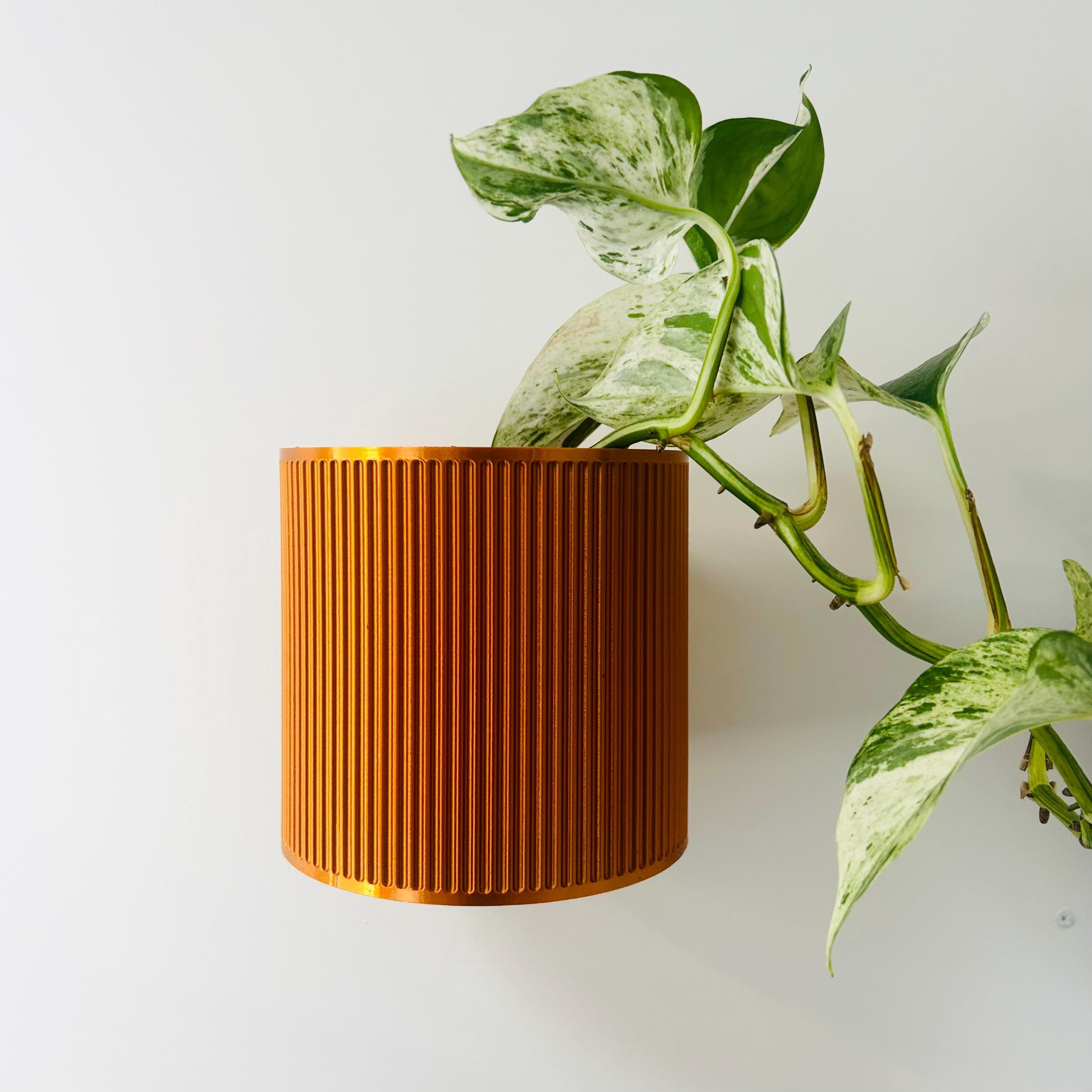 brushed copper plant pot The Brunswick Metallic Wall Mounted Planter / No Drainage – The Inside Jungle