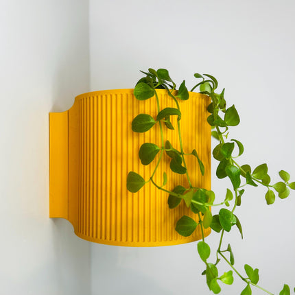 The Brunswick Wall Mounted Pot Planter in Matte Honey Yellow / 2 Sizes / Screw Mounted / No Drainage /