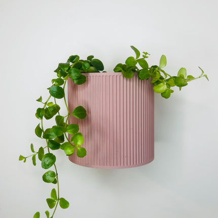 The Brunswick Wall Mounted Pot Planter in Matte Dusty Pink / 2 Sizes / Screw Mounted / No Drainage /
