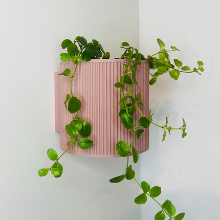 The Brunswick Wall Mounted Pot Planter in Matte Dusty Pink / 2 Sizes / Screw Mounted / No Drainage /
