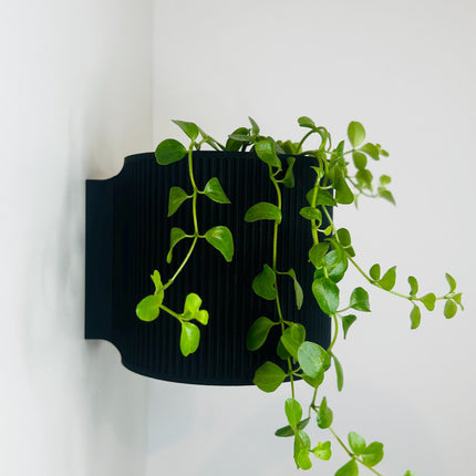 The Brunswick Wall Mounted Pot Planter in Black// With Drainage Holes // Screw Mounted // 2 Sizes