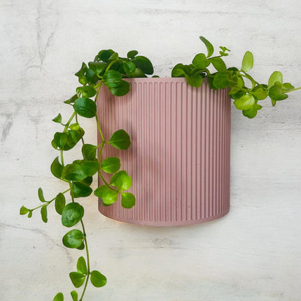 The Brunswick Wall Mounted Pot Planter in Matte Dusty Pink / 2 Sizes / Screw Mounted / No Drainage /