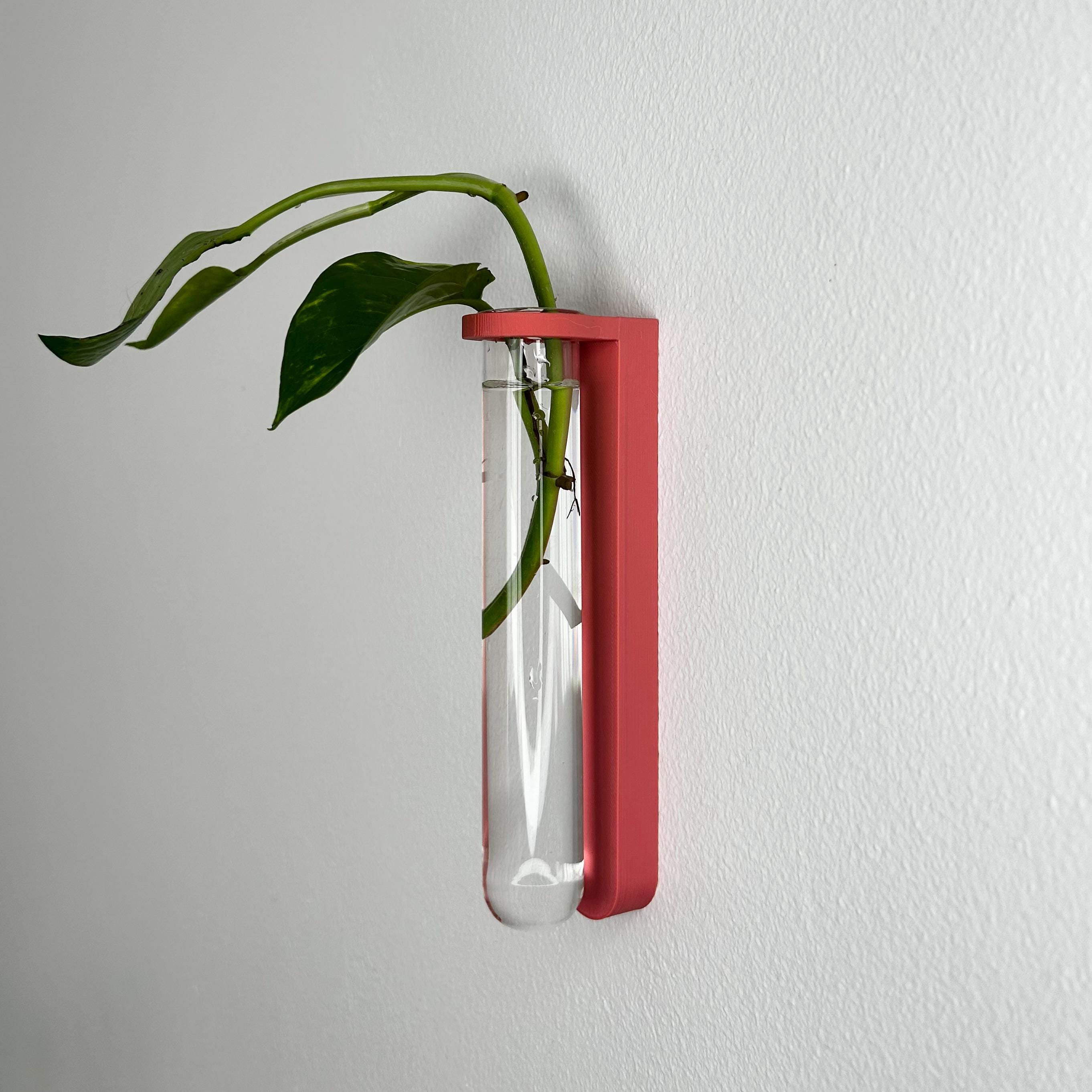 wall hanging plant propagation Wall-Mounted Glass Plant Propagation – The Inside Jungle